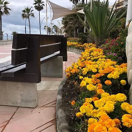 Beachfront Apartment