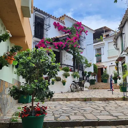 Apartment Beachfront Estepona